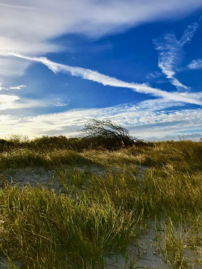 Ferienwohnung-Strandspaziergang, Grosse Wohnung 보르게렌데레트비슈 외부 사진